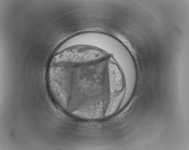 X0000114650201200911171057