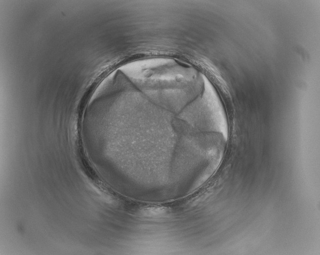 X0000114650202200911171057