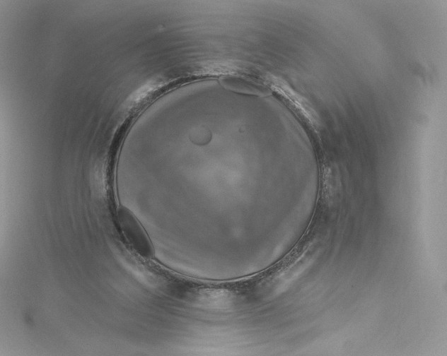 X0000114650203200911171057