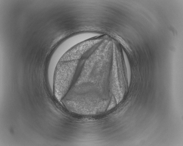 X0000114650207200911171057