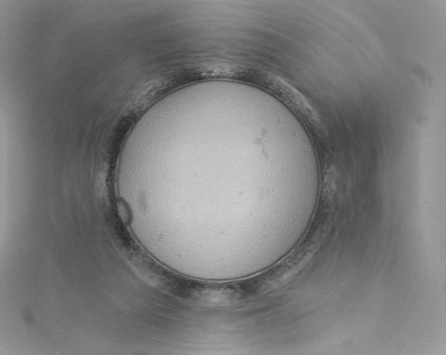 X0000114650209200911171057