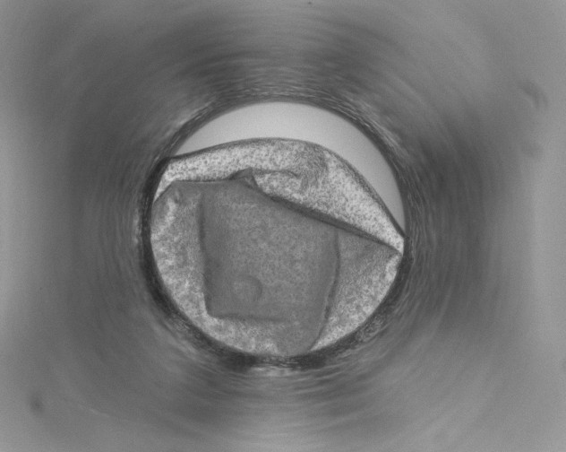 X0000114650211200911171057