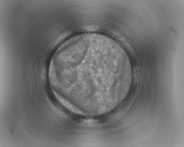 X0000114650212200911171057