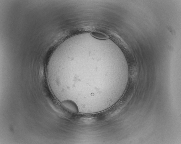 X0000114650213200911171057