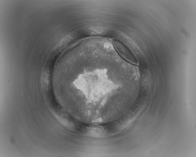 X0000114650215200911171057