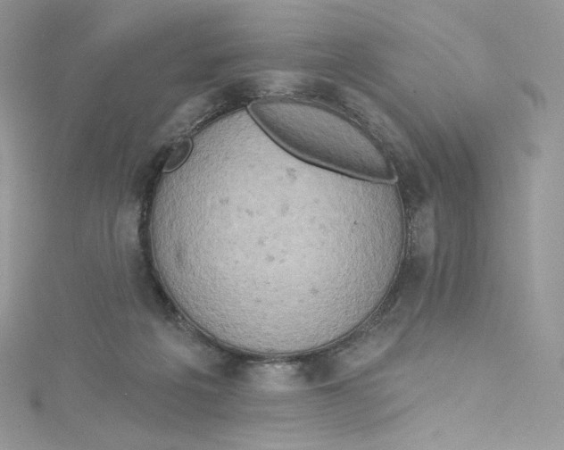 X0000114650217200911171057