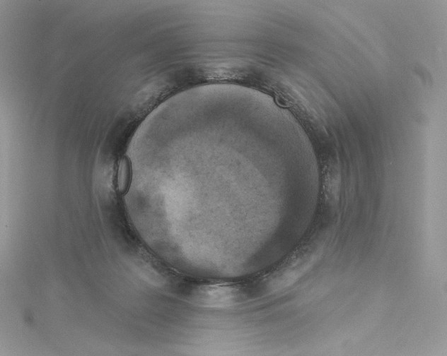 X0000114650219200911171057