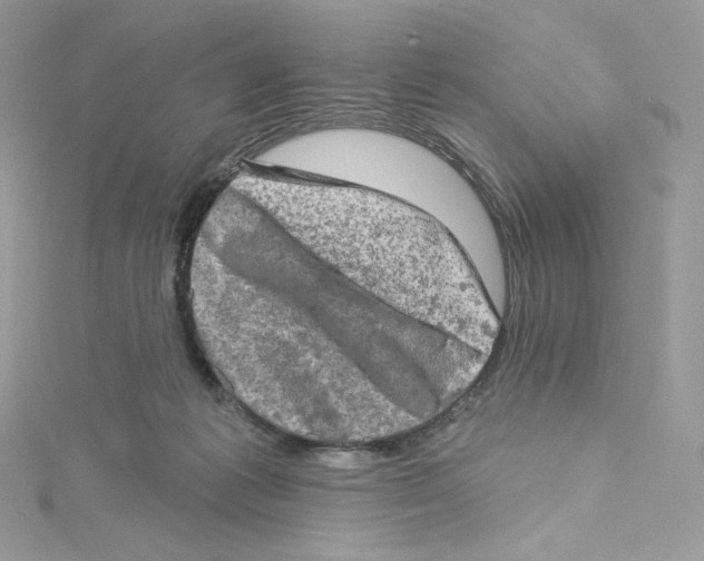 X0000114650221200911171057