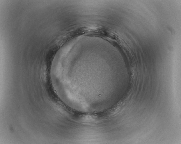 X0000114650223200911171057