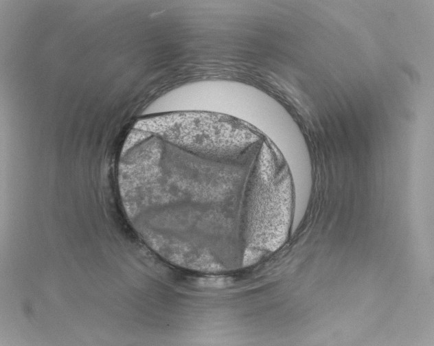 X0000114650225200911171057