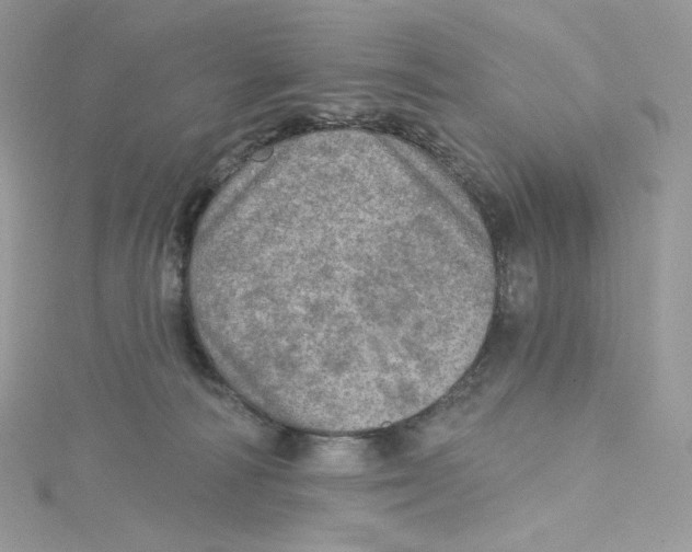 X0000114650226200911171057