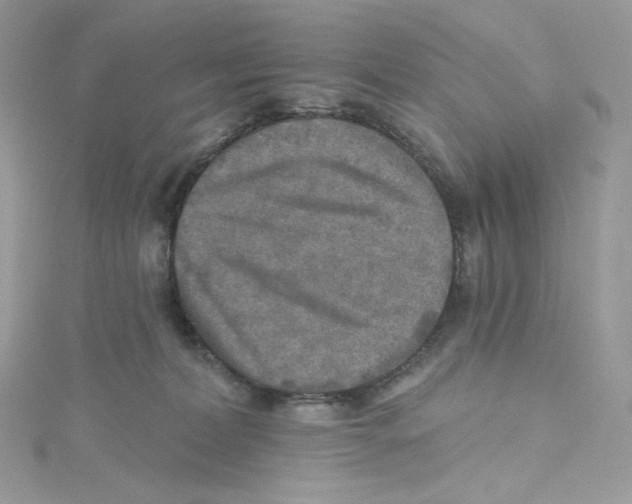 X0000114650228200911171057