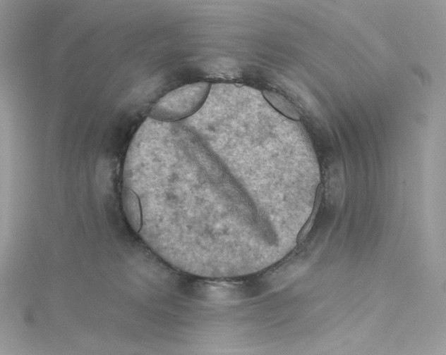 X0000114650229200911171057