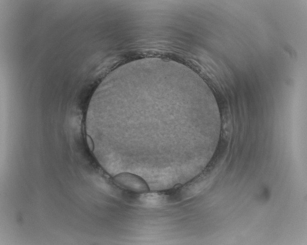 X0000114650231200911171057