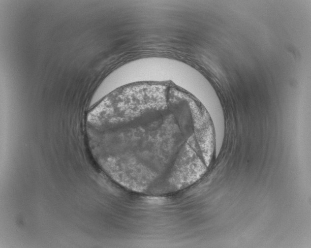 X0000114650233200911171057