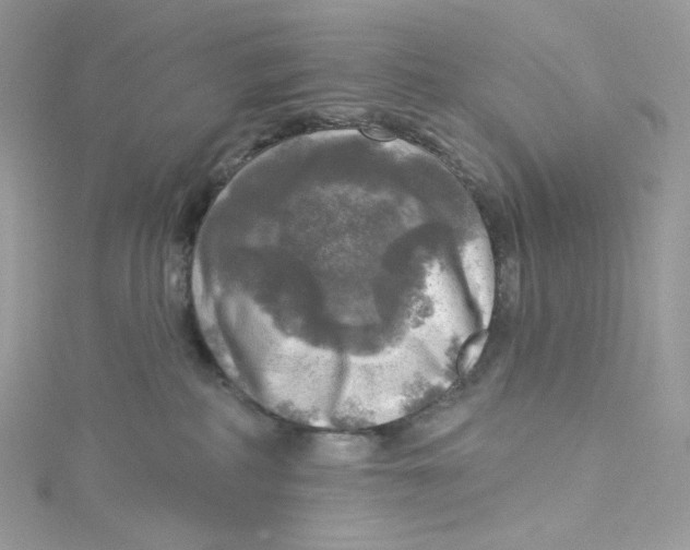 X0000114650234200911171057