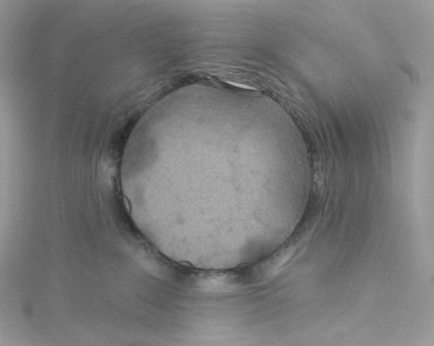 X0000114650235200911171057