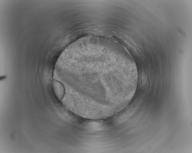 X0000114650236200911171057