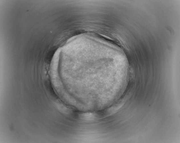 X0000114650237200911171056