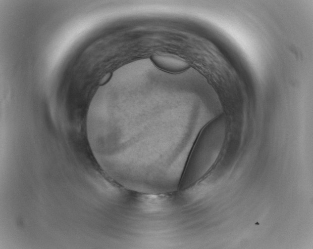 X0000114650239200911171056