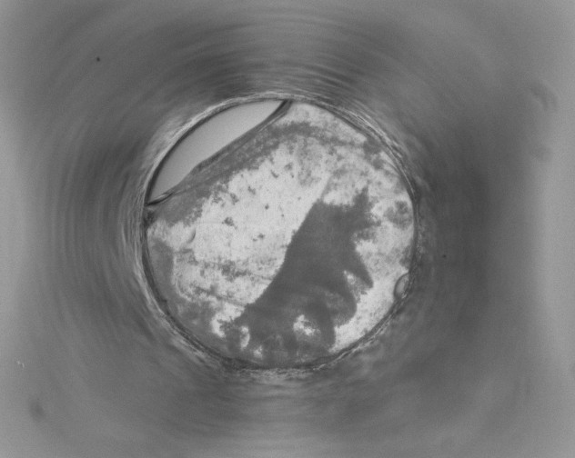 X0000114650241200911171056