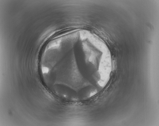 X0000114650243200911171056