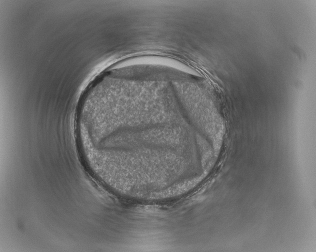 X0000114650244200911171056