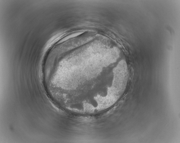 X0000114650245200911171056