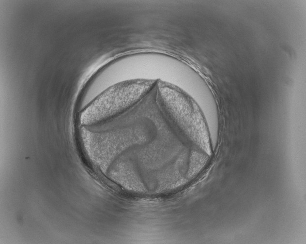 X0000114650248200911171056