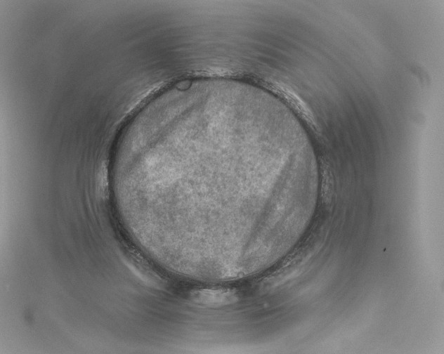 X0000114650251200911171056