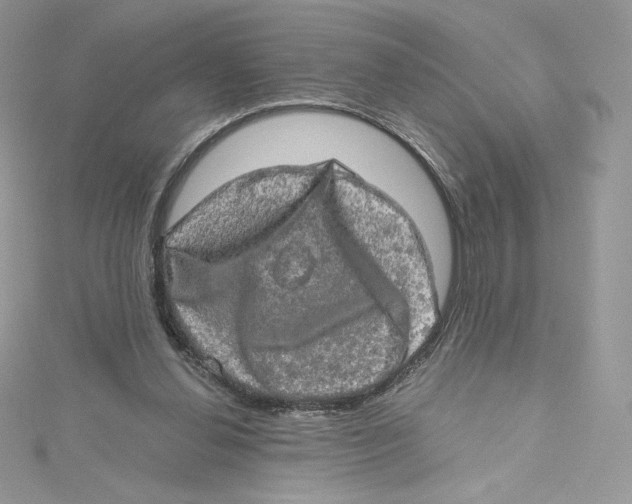 X0000114650252200911171056