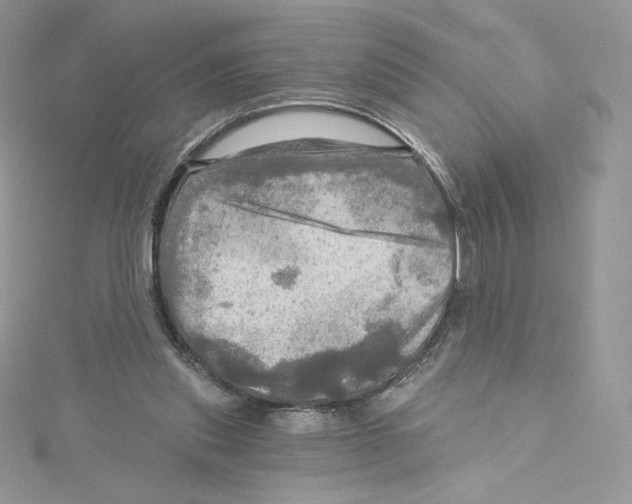 X0000114650253200911171056