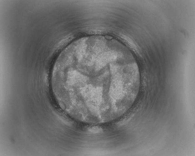 X0000114650258200911171056