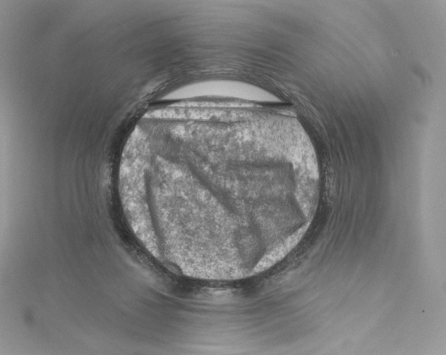 X0000114650260200911171056