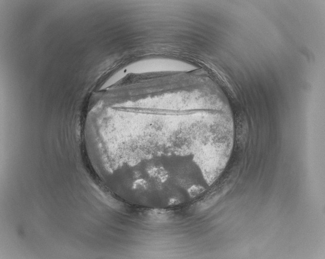 X0000114650261200911171056