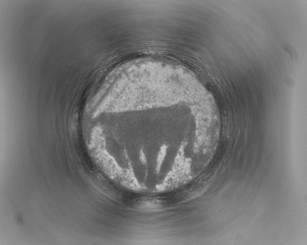 X0000114650263200911171056