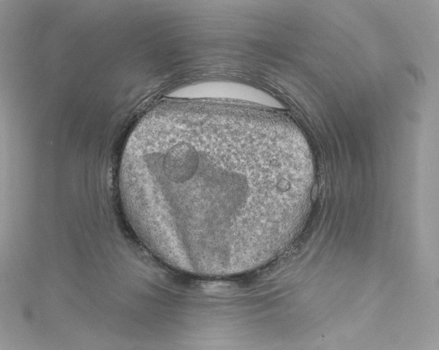 X0000114650268200911171056