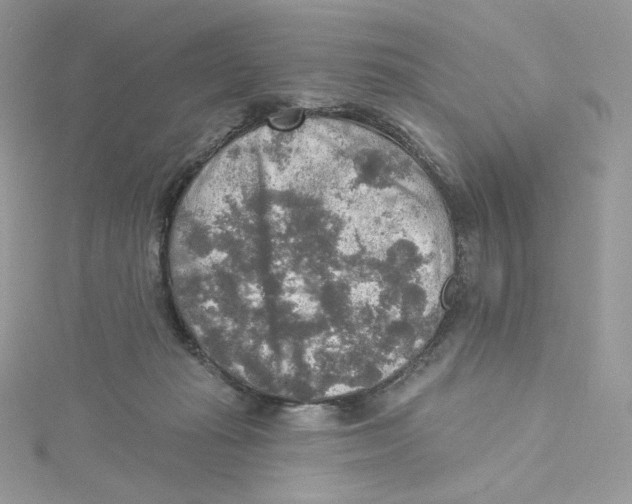 X0000114650269200911171056