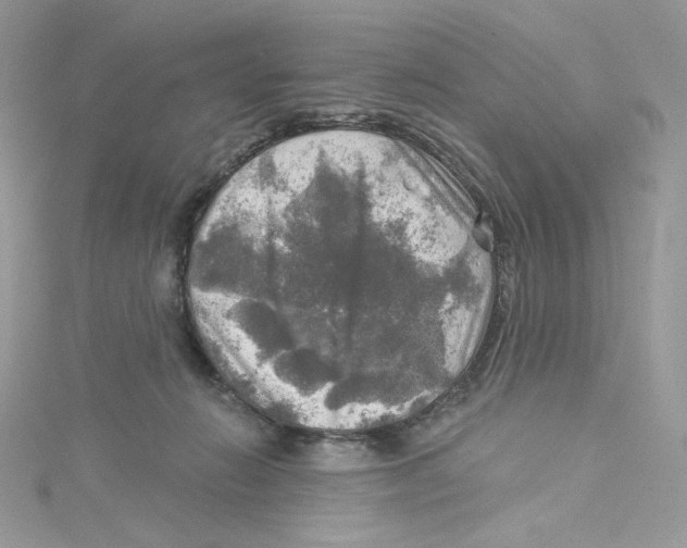 X0000114650270200911171056