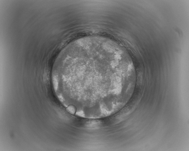 X0000114650274200911171056