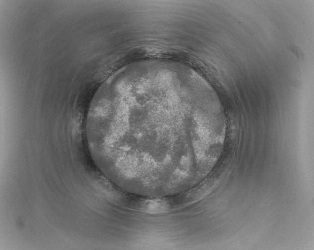 X0000114650275200911171056