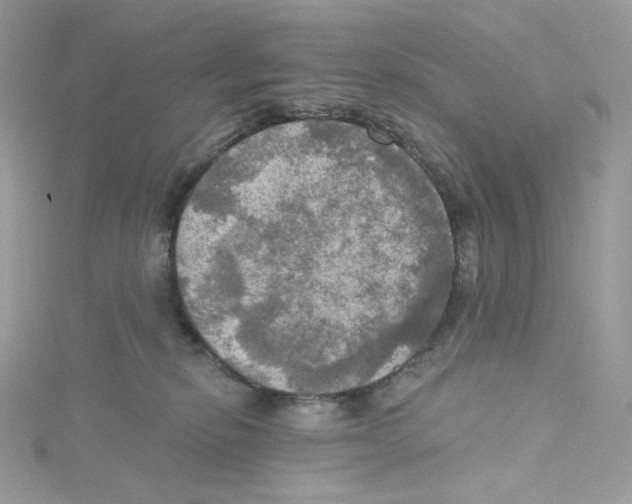 X0000114650278200911171056