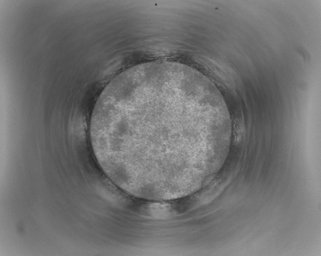 X0000114650279200911171056