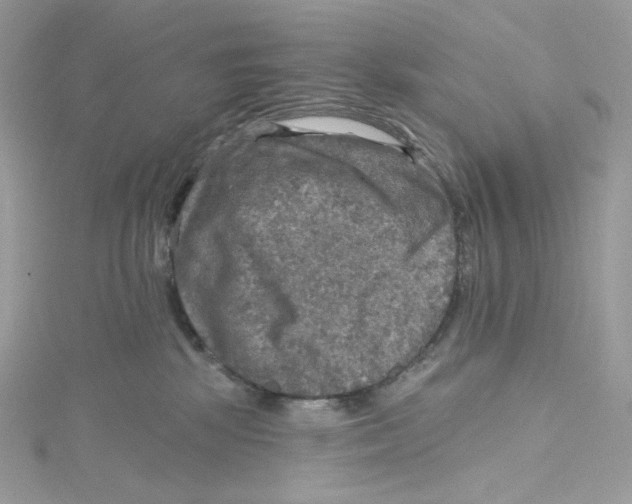 X0000114650281200911171056