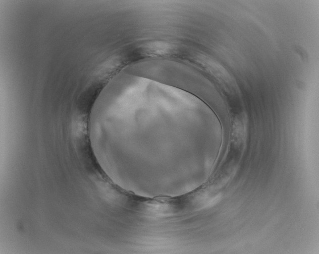 X0000114650284200911171056