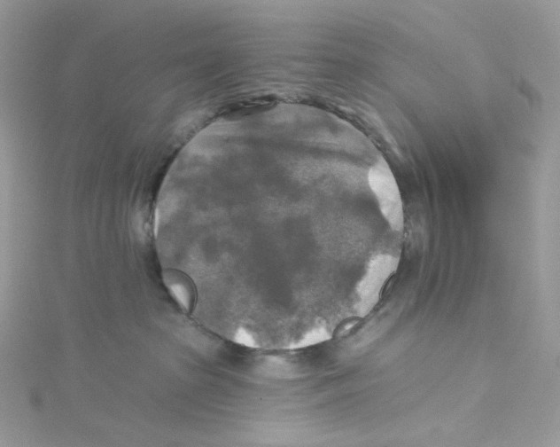 X0000114650285200911171056