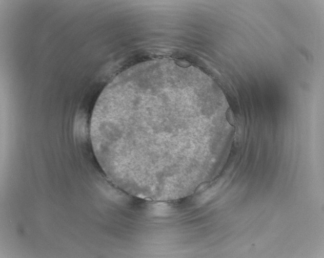 X0000114650287200911171056