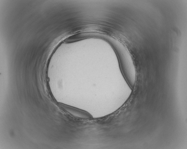 X0000114650289200911171056