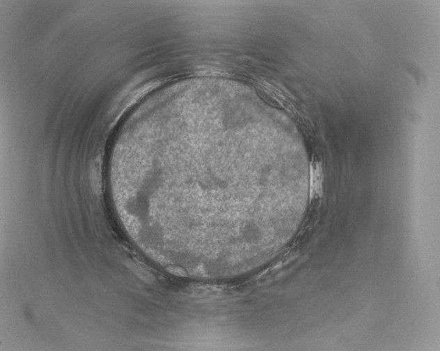 X0000114650291200911171056