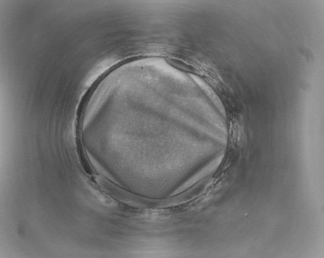 X0000114650292200911171056